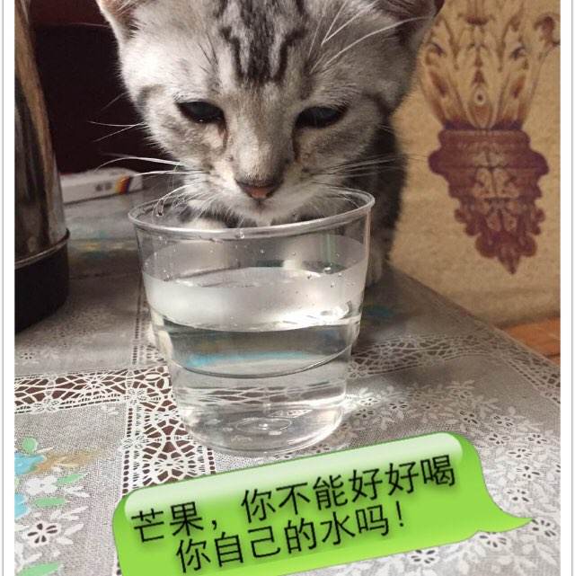 俄亥俄州河谷技术学院证书办理